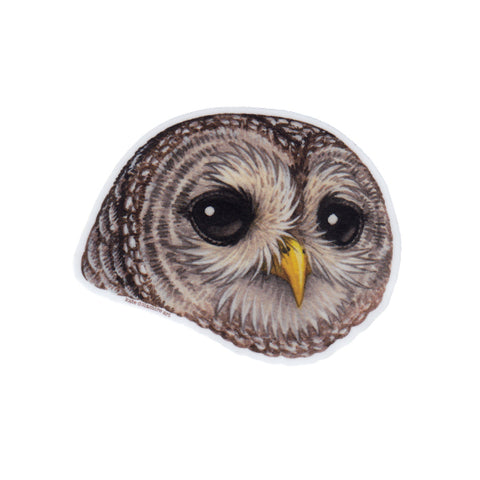 Wholesale Vinyl Sticker: Barred Owl (Portrait)