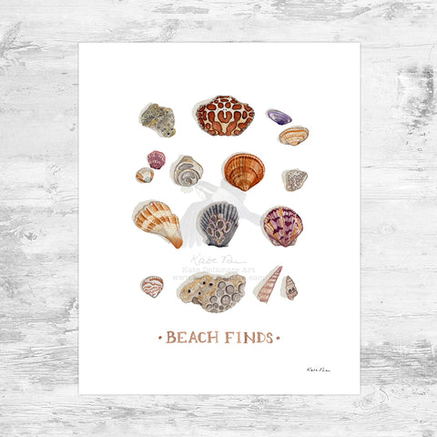 Wholesale Art Print: Beach Finds