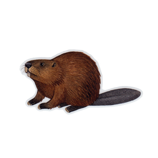 Wholesale Vinyl Sticker: Beaver