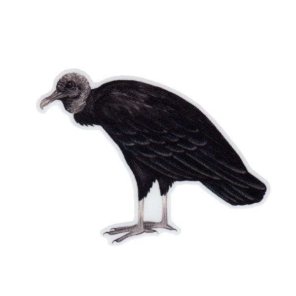 Wholesale Vinyl Sticker: Black Vulture (Hunched)