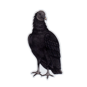 Wholesale Vinyl Sticker: Black Vulture