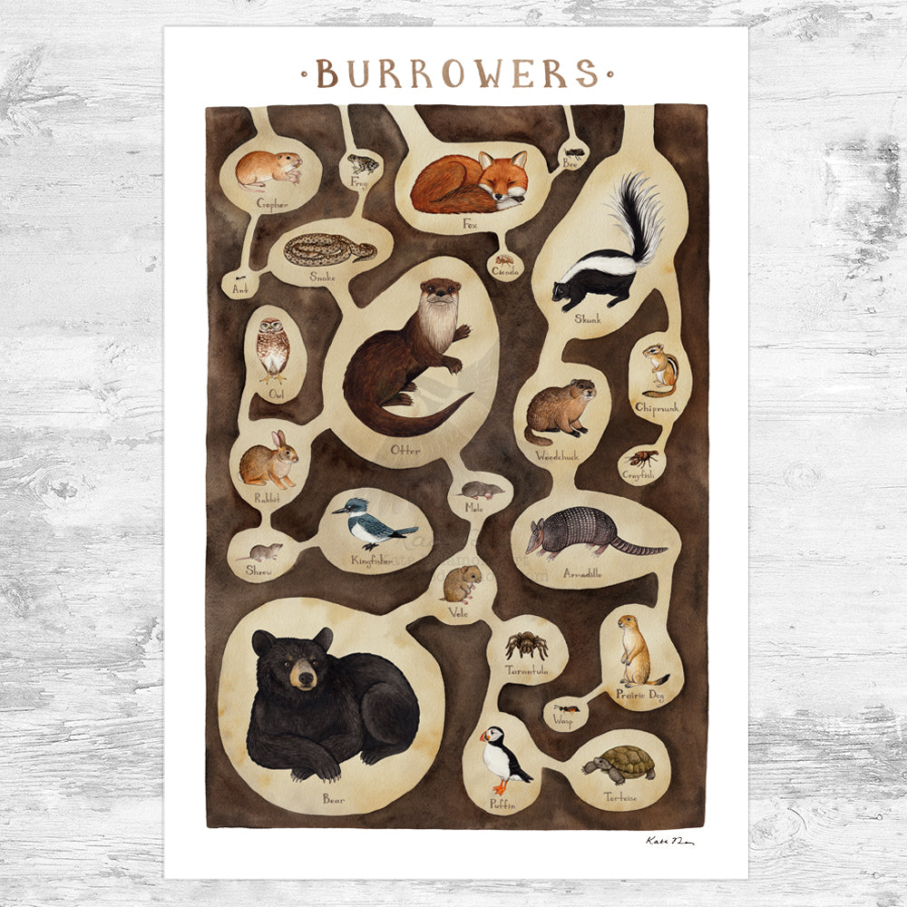 Wholesale Art Print: Burrowing Animals