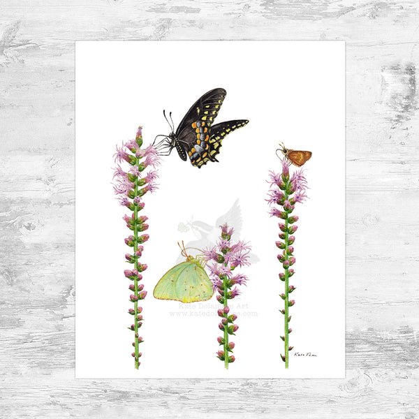 Wholesale Art Print: Butterflies on Blazing Star Wildflowers