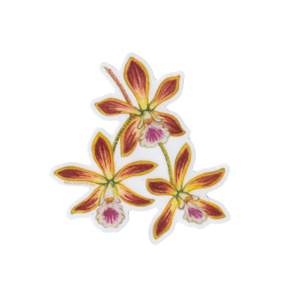 Wholesale Vinyl Sticker: Butterfly Orchid