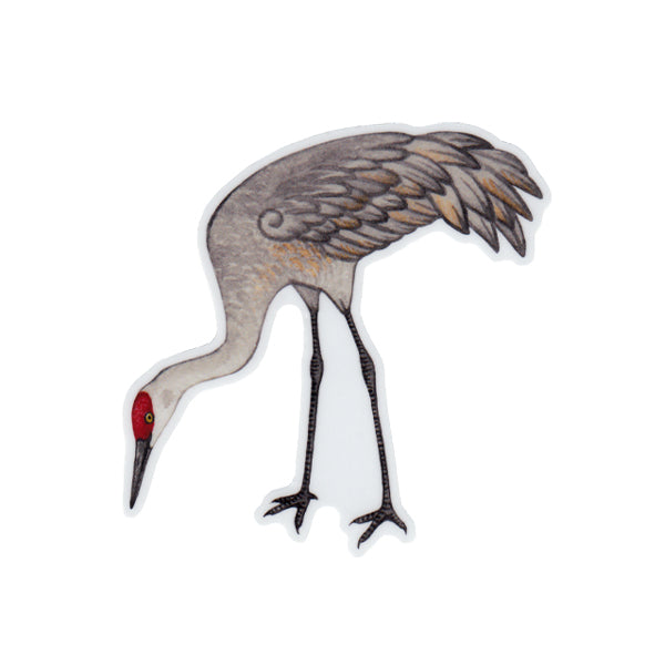 Wholesale Vinyl Sticker: Sandhill Crane (Foraging)