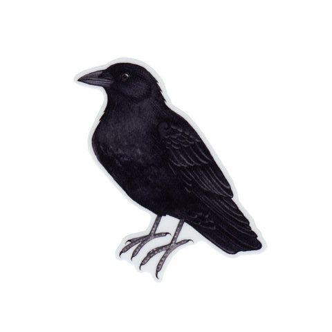 Wholesale Vinyl Sticker: American Crow