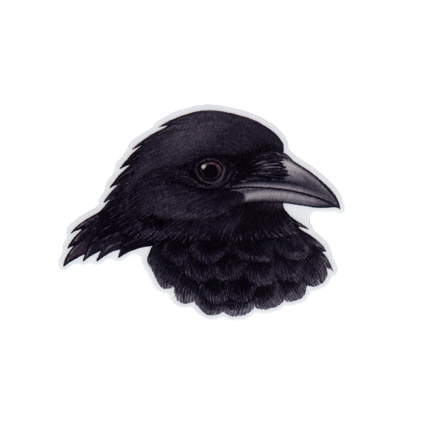 Wholesale Vinyl Sticker: American Crow Portrait