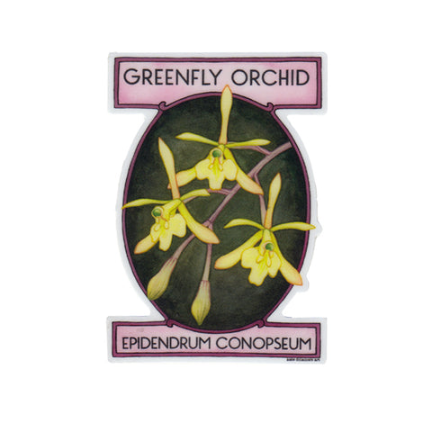 Wholesale Vinyl Sticker: Greenfly Orchid