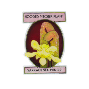 Wholesale Vinyl Sticker: Hooded Pitcher Plant