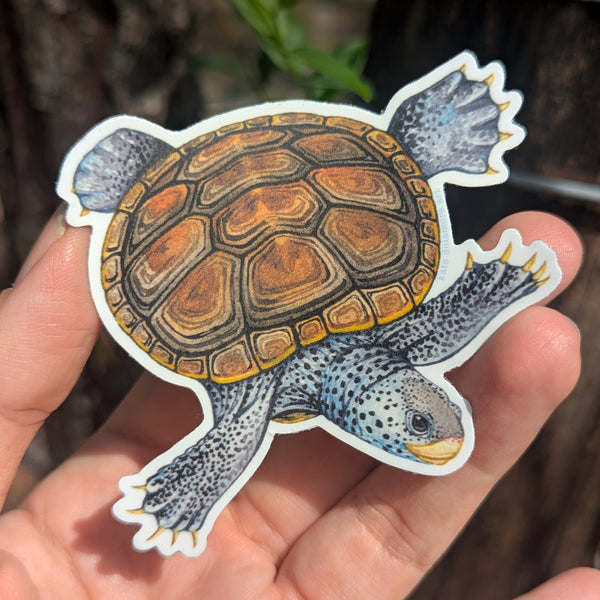 Wholesale Vinyl Sticker: Diamondback Terrapin