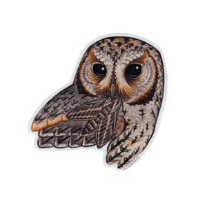 Wholesale Vinyl Sticker: Flammulated Owl