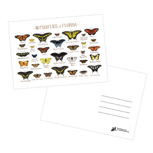 Butterflies of Florida 5x7 Postcard
