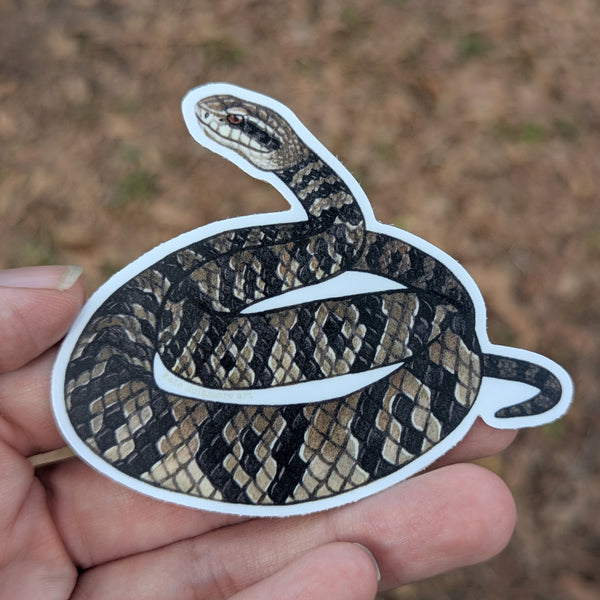 Wholesale Vinyl Sticker: Florida Cottonmouth Snake