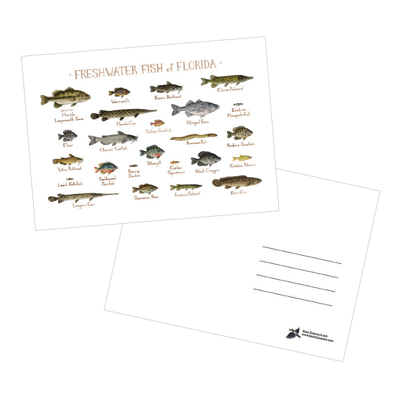 Freshwater Fish of Florida 5x7 Postcard