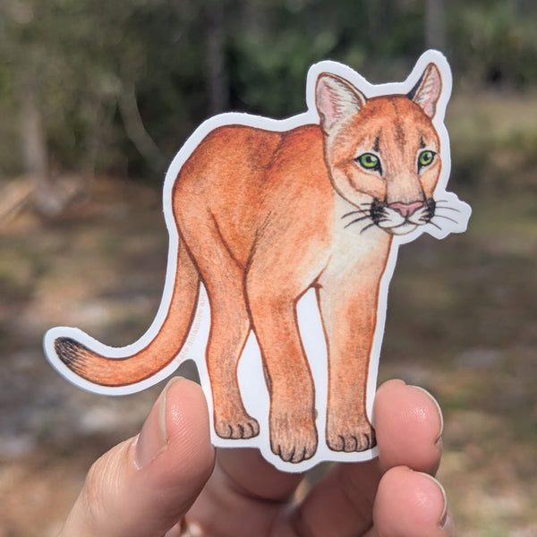 Wholesale Vinyl Sticker: Florida Panther