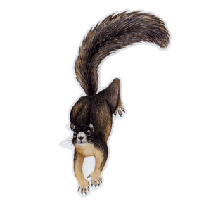 Wholesale Vinyl Sticker: Sherman's Fox Squirrel