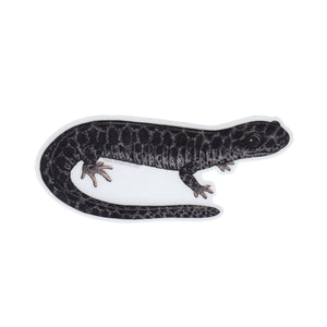 Wholesale Vinyl Sticker: Frosted Flatwoods Salamander