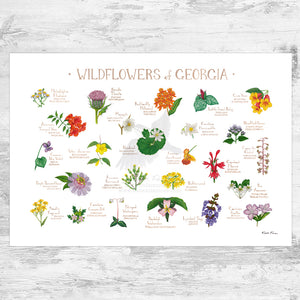 Wholesale Wildflowers Field Guide Art Print: Georgia