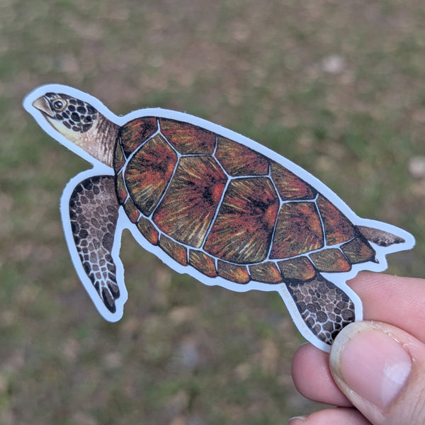 Wholesale Vinyl Sticker: Green Sea Turtle (2026)