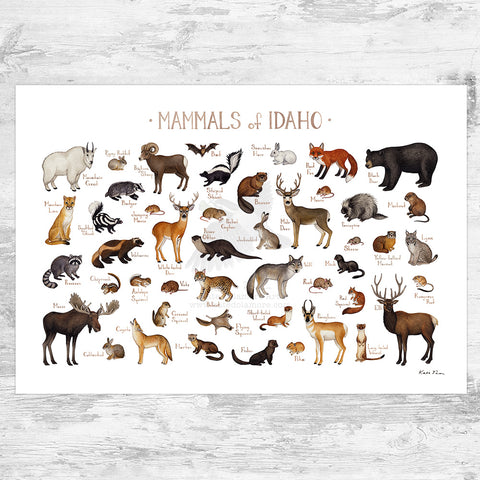 Wholesale Mammals Field Guide Art Print: Idaho