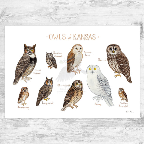 Wholesale Owls Field Guide Art Print: Kansas