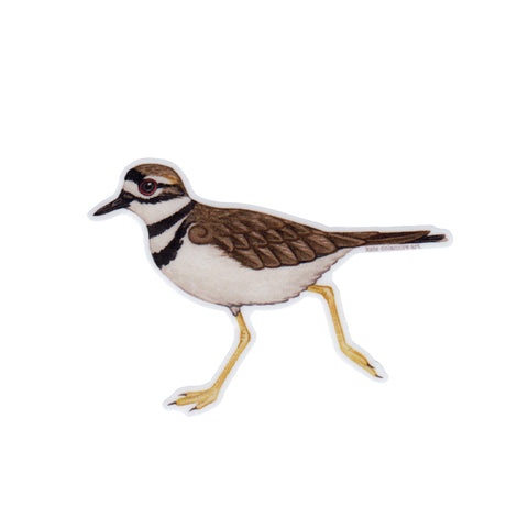 Wholesale Vinyl Sticker: Killdeer