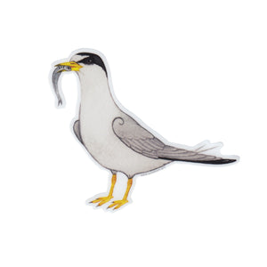 Wholesale Vinyl Sticker: Least Tern