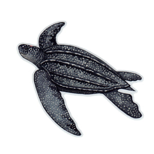 Wholesale Vinyl Sticker: Leatherback Sea Turtle