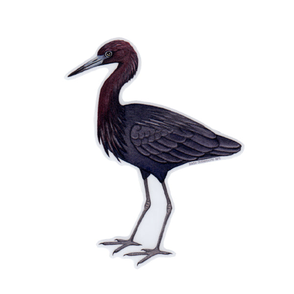 Wholesale Vinyl Sticker: Little Blue Heron