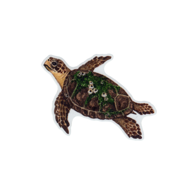 Wholesale Vinyl Sticker: Loggerhead Sea Turtle