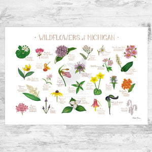 Wholesale Wildflowers Field Guide Art Print: Michigan