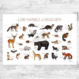 Wholesale Mammals Field Guide Art Print: Mississippi