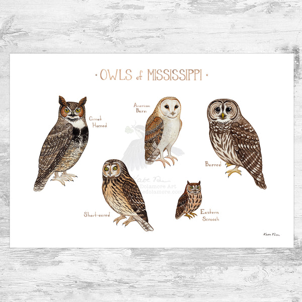 Wholesale Owls Field Guide Art Print: Mississippi