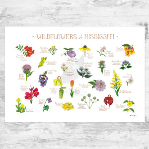 Wholesale Wildflowers Field Guide Art Print: Mississippi