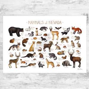 Wholesale Mammals Field Guide Art Print: Nevada