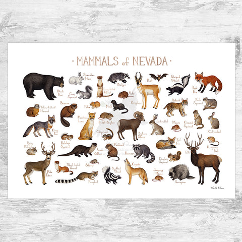 Wholesale Mammals Field Guide Art Print: Nevada