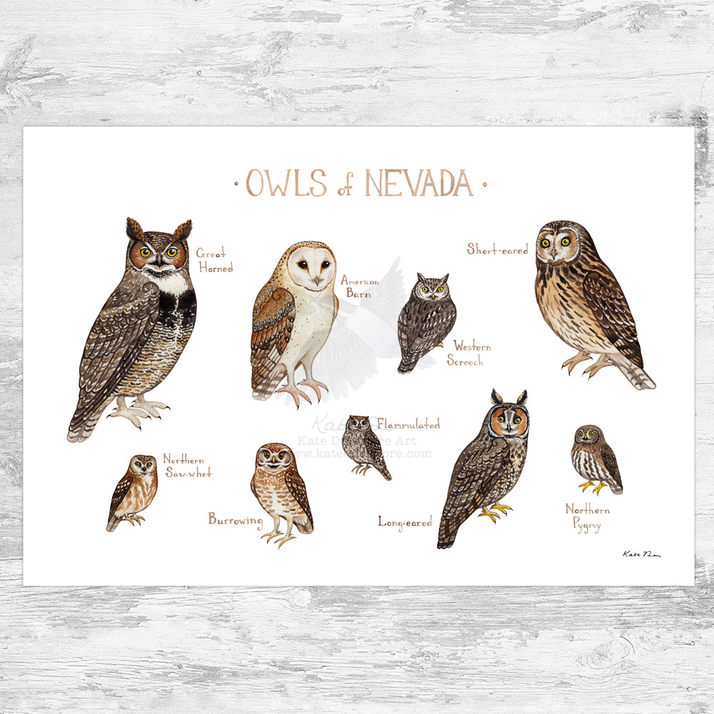 Wholesale Owls Field Guide Art Print: Nevada