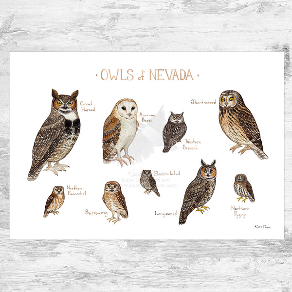 Wholesale Owls Field Guide Art Print: Nevada