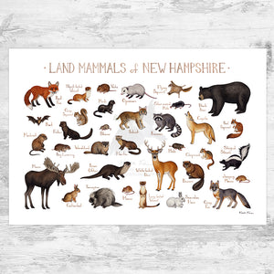 Wholesale Mammals Field Guide Art Print: New Hampshire