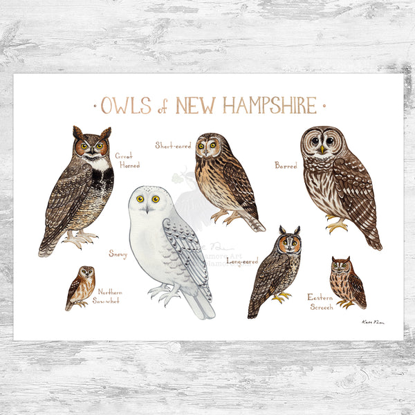 Wholesale Owls Field Guide Art Print: New Hampshire