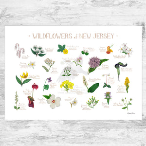 Wholesale Wildflowers Field Guide Art Print: New Jersey