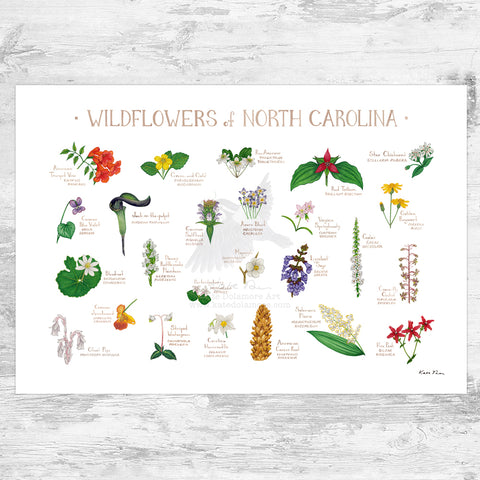 Wholesale Wildflowers Field Guide Art Print: North Carolina