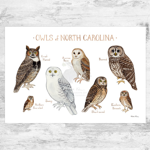 Wholesale Owls Field Guide Art Print: North Carolina