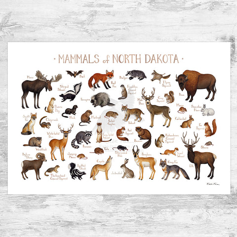 Wholesale Mammals Field Guide Art Print: North Dakota