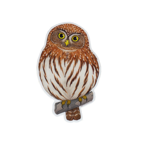 Wholesale Vinyl Sticker: Northern Pygmy Owl