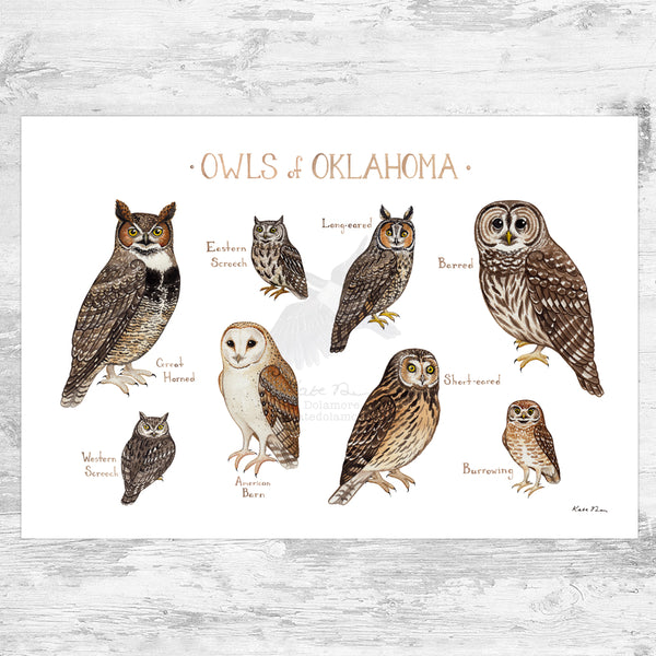 Wholesale Owls Field Guide Art Print: Oklahoma