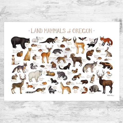 Wholesale Mammals Field Guide Art Print: Oregon