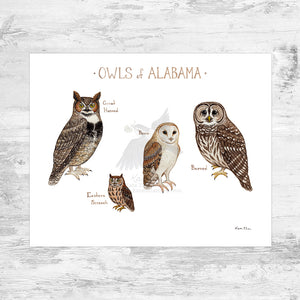 Wholesale Owls Field Guide Art Print: Alabama