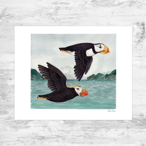 Wholesale Art Print: Puffins in Flight