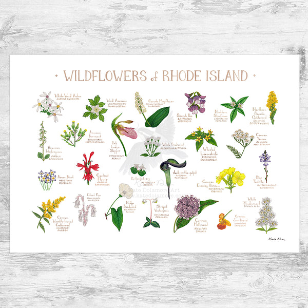 Wholesale Wildflowers Field Guide Art Print: Rhode Island